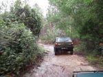 DSCN0338.JPG
