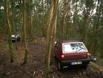 Hugo.Panda4x4 (19)