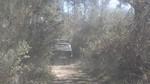 bmps2003 (25)