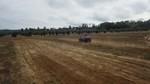bmps2003 (128)