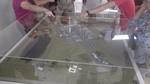 bmps2003 (35)