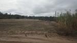 bmps2003 (50)