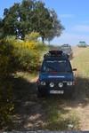 bmps (286)
