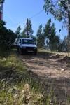 bmps (295)