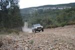 bmps (98)