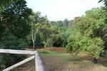 IMG 1032 (Copy)