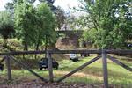 IMG 1041 (Copy)