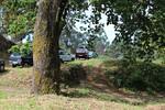 IMG 1044 (Copy)
