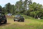 IMG 1045 (Copy)