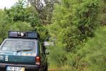 IMG 1047 (Copy)