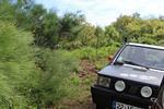 IMG 1048 (Copy)