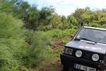 IMG 1049 (Copy)