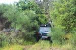 IMG 1050 (Copy)