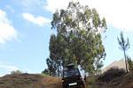 IMG 1061 (Copy)