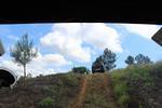 IMG 1073 (Copy)
