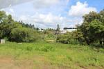 IMG 1076 (Copy)