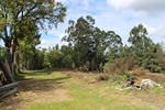 IMG 1078 (Copy)