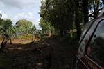 IMG 1081 (Copy)