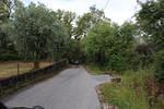 IMG 1086 (Copy)