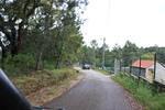 IMG 1088 (Copy)