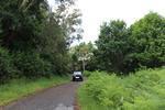 IMG 1093 (Copy)
