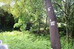 IMG 1095 (Copy)