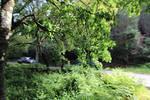 IMG 1096 (Copy)