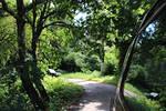 IMG 1097 (Copy)