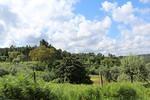 IMG 1099 (Copy)