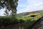 IMG 1100 (Copy)