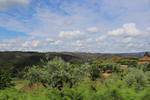 IMG 1102 (Copy)