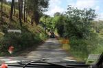 IMG 1104 (Copy)