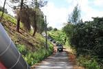 IMG 1105 (Copy)