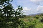 IMG 1106 (Copy)