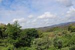 IMG 1107 (Copy)