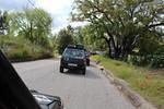 IMG 1113 (Copy)