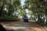 IMG 1117 (Copy)