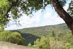 IMG 1118 (Copy)