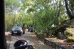 IMG 1122 (Copy)