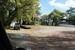 IMG 1123 (Copy)
