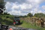 IMG 1124 (Copy)