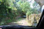 IMG 1126 (Copy)