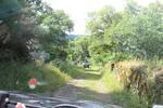 IMG 1128 (Copy)
