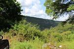 IMG 1129 (Copy)