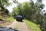 IMG 1130 (Copy)