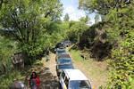 IMG 1132 (Copy)