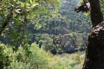 IMG 1134 (Copy)