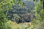 IMG 1135 (Copy)