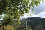 IMG 1136 (Copy)