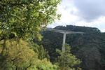 IMG 1138 (Copy)